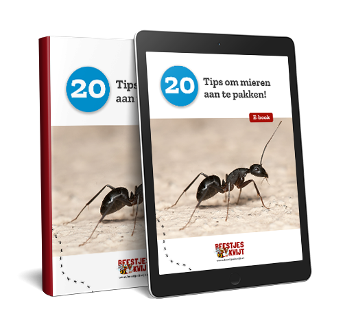 Meer tips tegen mieren?